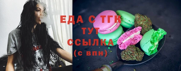 гидра Богородск