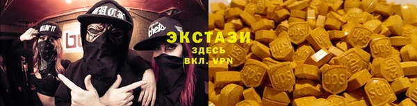 гидра Богородск