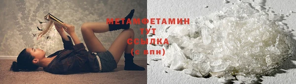 гидра Богородск