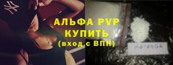 гидра Богородск