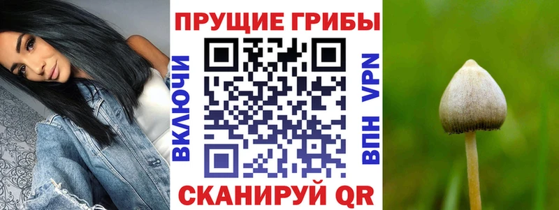 ОМГ ОМГ вход  Рыбинск  Галлюциногенные грибы ЛСД 
