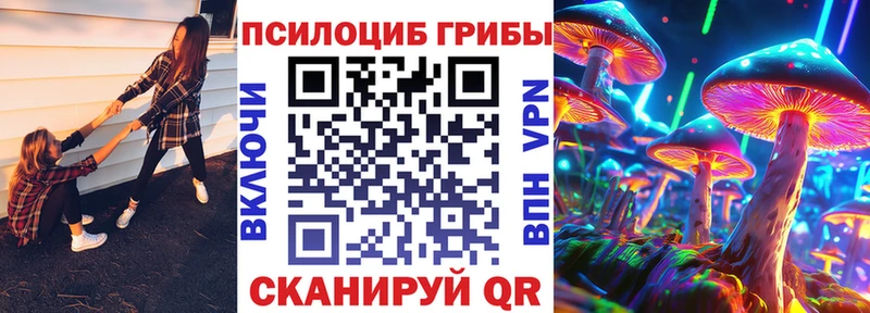 Псилоцибиновые грибы Cubensis Рыбинск